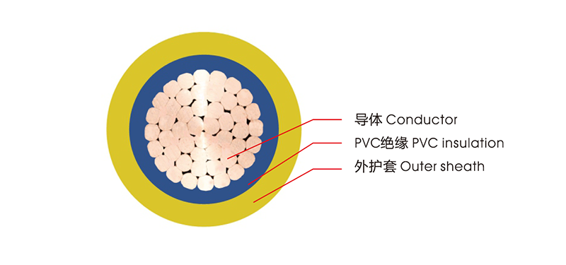 小蝌蚪视频色版V